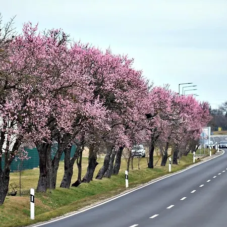 Platán Aparthotel Balatongyörök